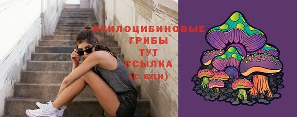 jwh Богданович