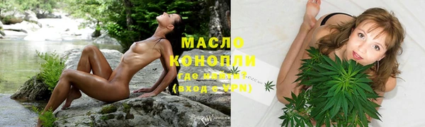 дмт Богородицк