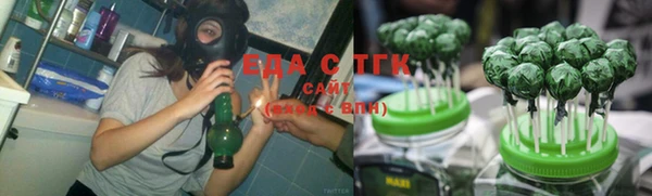 дмт Богородицк